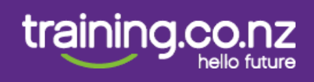 Training.co.nz logo